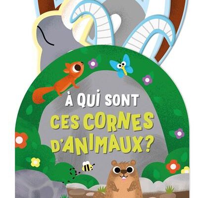 A qui sont ces cornes d'animaux ?