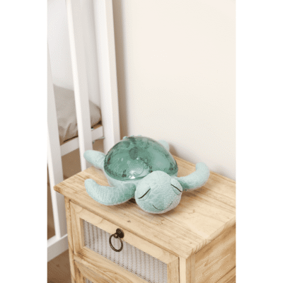 Tortue veilleuse CLOUD-B