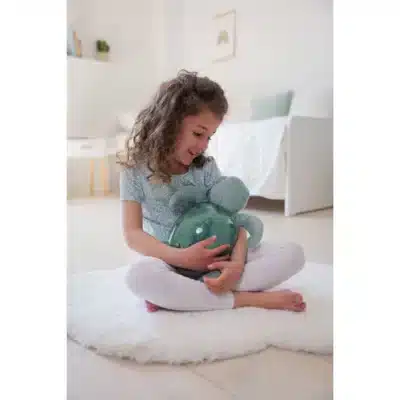 Tortue veilleuse CLOUD-B