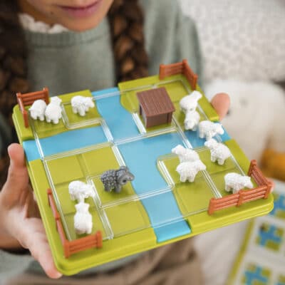 Pose moutons SMART GAMES