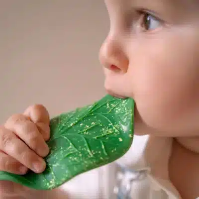 Feuille de Chlorophylle Jouet Dentition Bébé OLI&CAROL