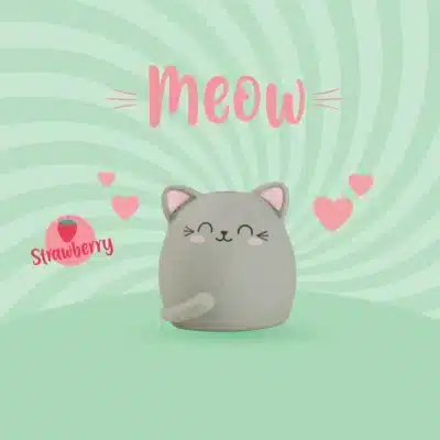 Gomme Chat LEGAMI