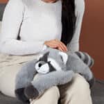PodColl Raton laveur HISTOIRE D’OURS