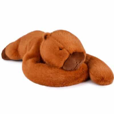 PodColl Capibara HISTOIRE D'OURS