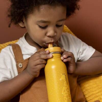 Gourde 500 ml Girafe TRIXIE