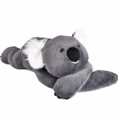PodColl Koala HISTOIRE D’OURS