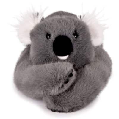 PodColl Koala HISTOIRE D’OURS