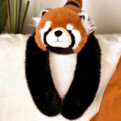 PodColl Panda roux HISTOIRE D’OURS