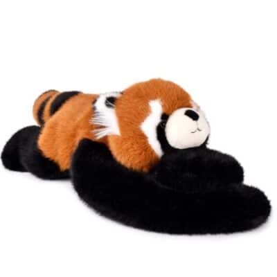 PodColl Panda roux HISTOIRE D’OURS