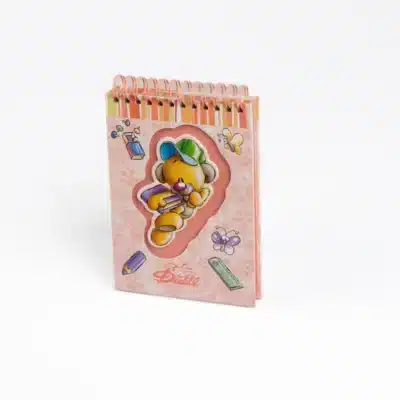 Carnet A6 spirale DIDDL